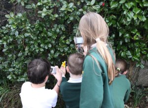 Filming signs of Spring